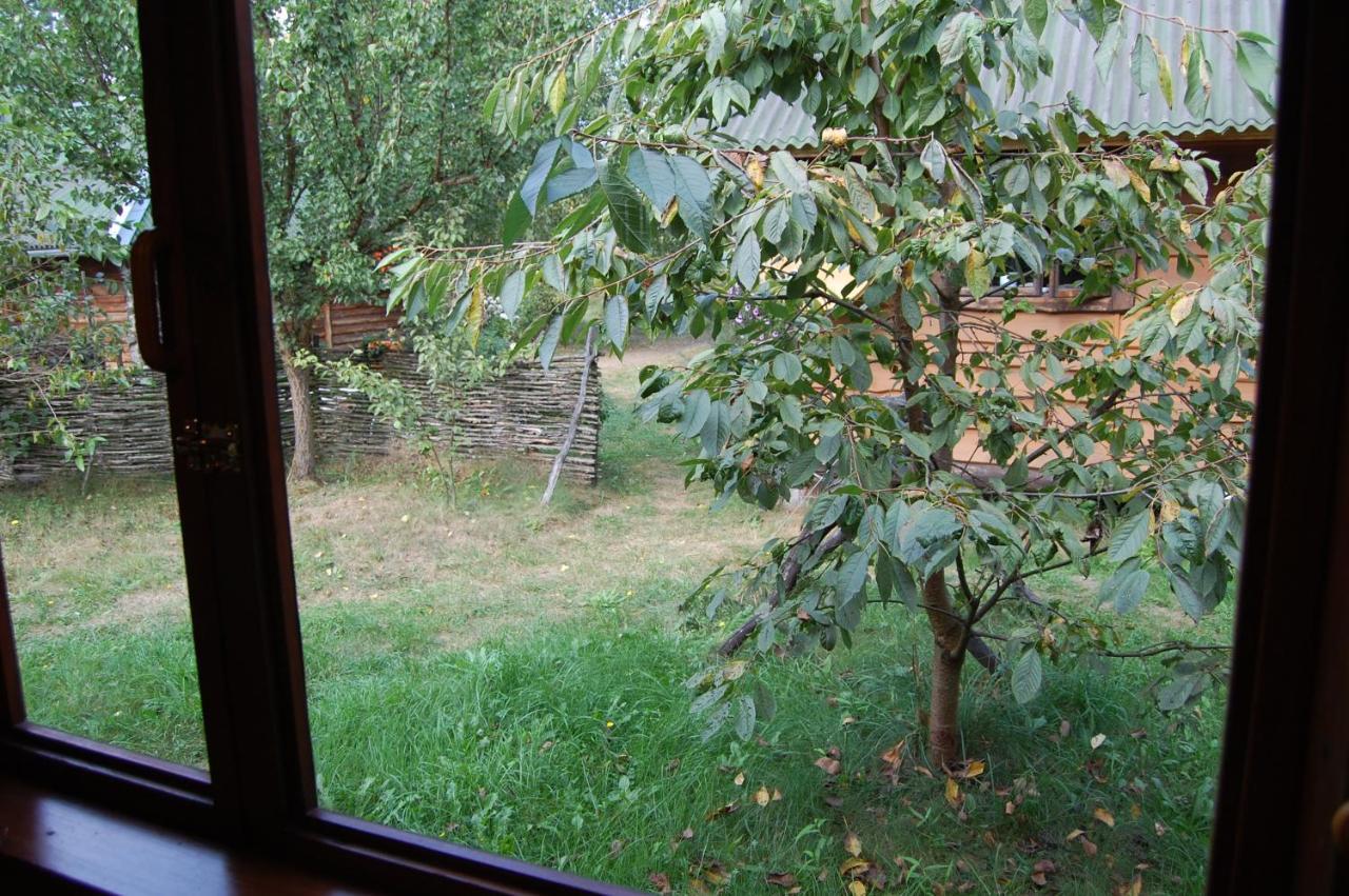 Apartmán Zelenyi Rai Sviťaz Exteriér fotografie