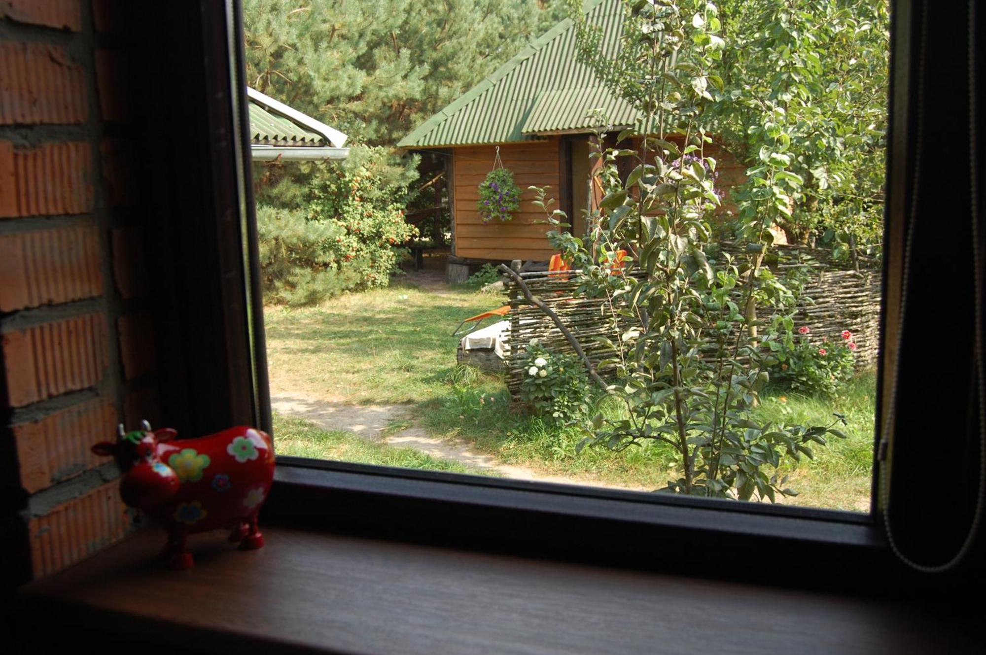 Apartmán Zelenyi Rai Sviťaz Pokoj fotografie